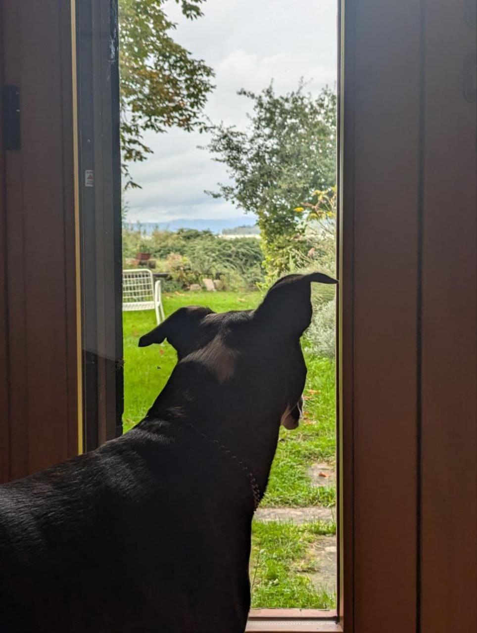 SantʼArcangelo Chalet Sul Trasimeno מראה חיצוני תמונה